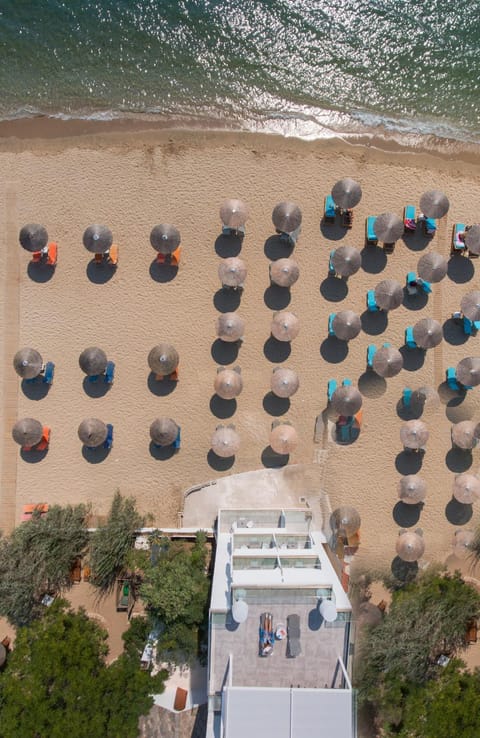 Bird's eye view, Beach