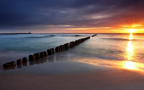 Beach, Sunset