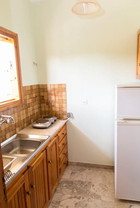 Ancient Assini Apartments Apartment hotel in Argolis, Greece