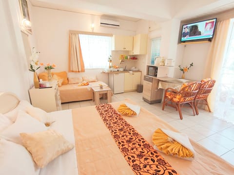 Communal lounge/ TV room, Bed, TV and multimedia, Living room, Photo of the whole room, Seating area, Bedroom, air conditioner