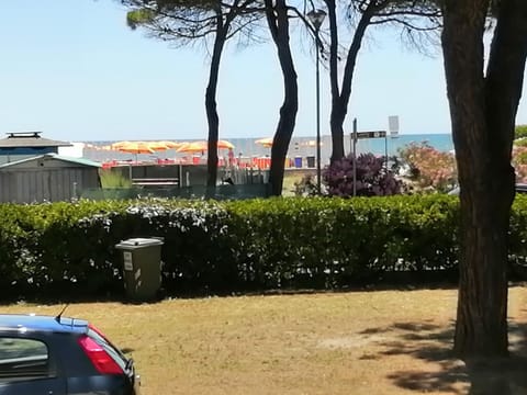 Natural landscape, Garden view