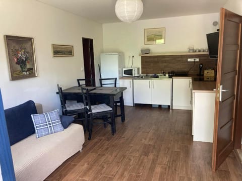 Living room, kitchen