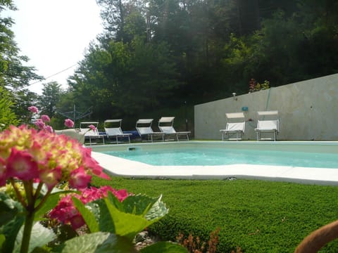 Garden, Swimming pool, Swimming pool