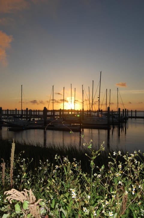 Amelia Island Williams House Bed and Breakfast in Fernandina Beach