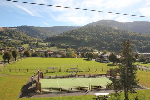 FLAMBOYANT House in Vosges