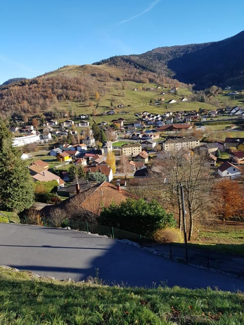 FLAMBOYANT House in Vosges