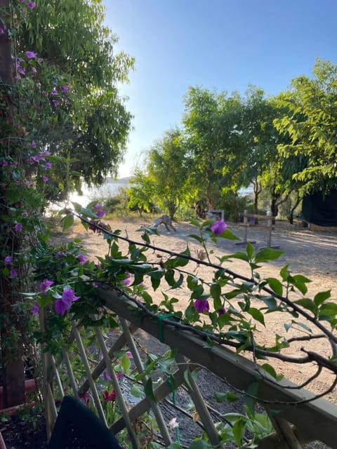 S'Abba Druche rooms Bed and Breakfast in Sardinia