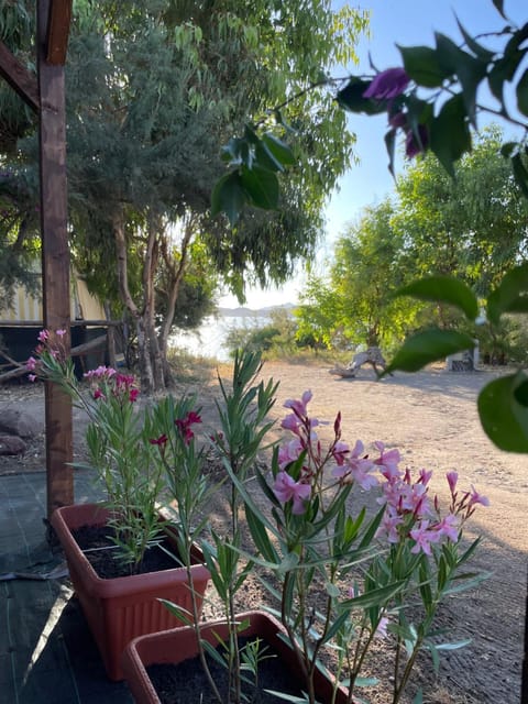 S'Abba Druche rooms Bed and Breakfast in Sardinia