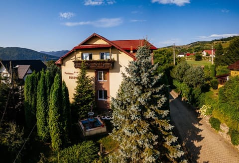 Property building, Bird's eye view, Summer