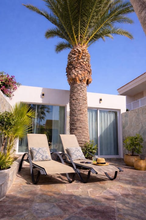 Patio, Day, Seating area, sunbed