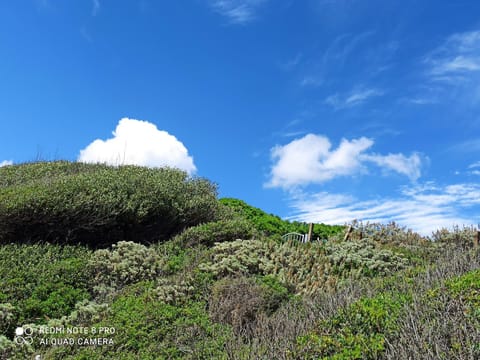 ALBELDI' Bed and Breakfast in Sardinia
