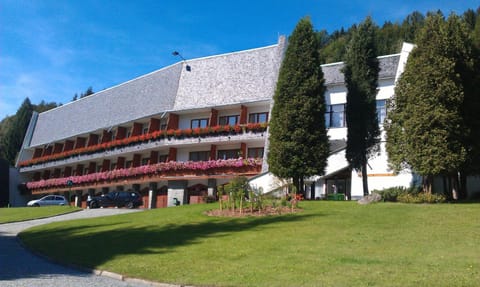 Property building, Neighbourhood, Garden