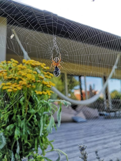 Vila El Privato Villa in Palanga