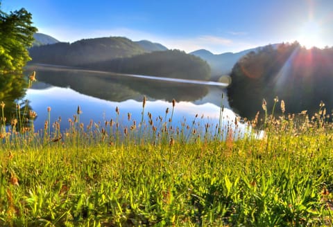 Day, Natural landscape