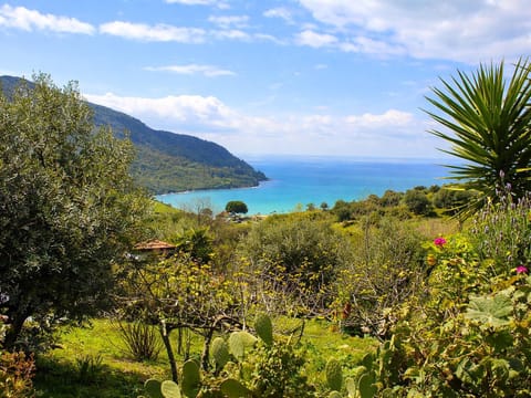 Natural landscape, Beach