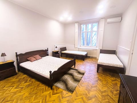 Downtown apartment in walk zone with 3 bedrooms and garage Apartment in Novi Sad