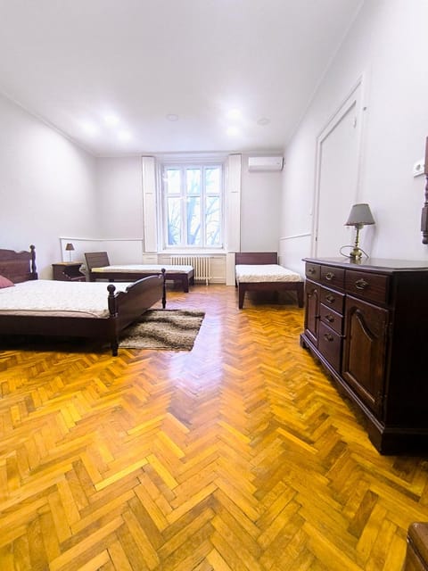 Downtown apartment in walk zone with 3 bedrooms and garage Apartment in Novi Sad