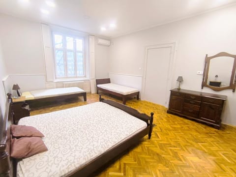 Downtown apartment in walk zone with 3 bedrooms and garage Apartment in Novi Sad