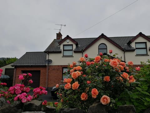 Fox Heaven B&B Bed and Breakfast in Carrickfergus