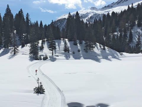 Hotel Ristorante LIDO Hotel in Canton of Grisons