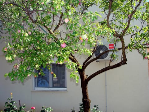 Apartments Meli Apartment in Zadar