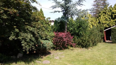 Ferienwohnung Zaepernick Dachgeschoss Apartment in Mecklenburg-Vorpommern, Germany