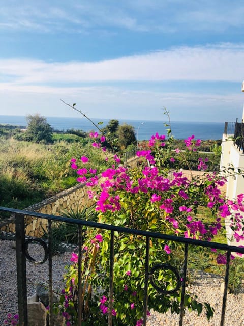 Garden, Sea view