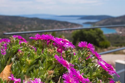 Natural landscape, Sea view