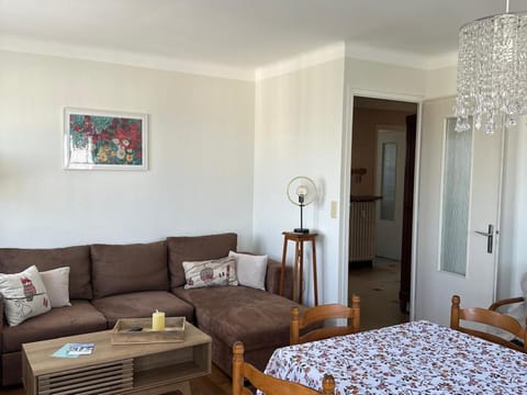 Appartement spacieux à Évian avec parking et animaux admis - FR-1-498-4 Apartment in Évian-les-Bains
