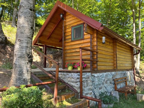 Estate Vukadinovic House in Montenegro