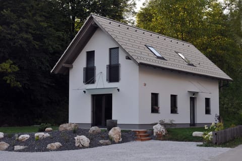Brand new house Luna House in Bled