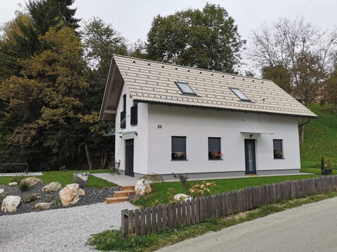 Brand new house Luna House in Bled