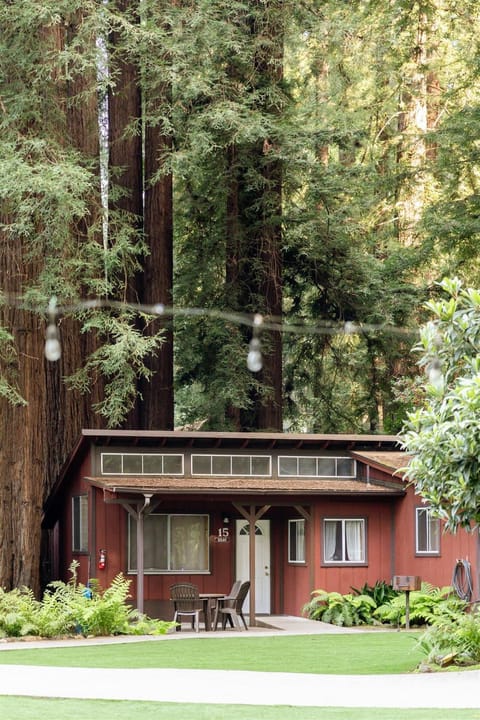 Property building, Natural landscape, Garden