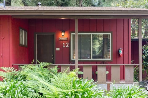 Property building, Garden view