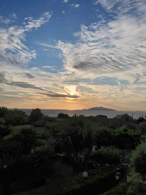 Oasi di Villa Damecuta Bed and Breakfast in Anacapri