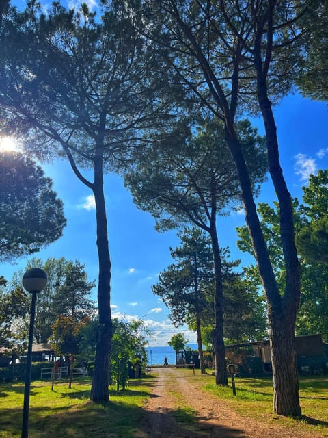 CAMPING AMALASUNTA Campground/ 
RV Resort in Umbria