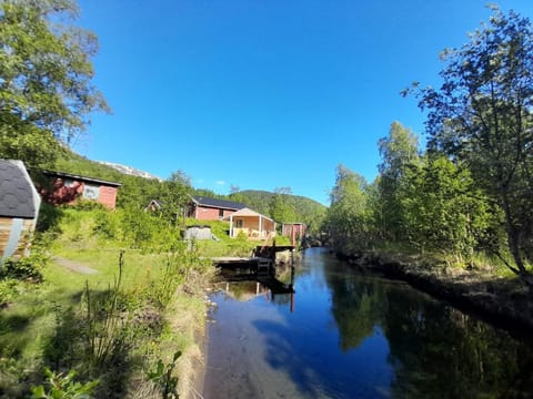 Natural landscape, River view