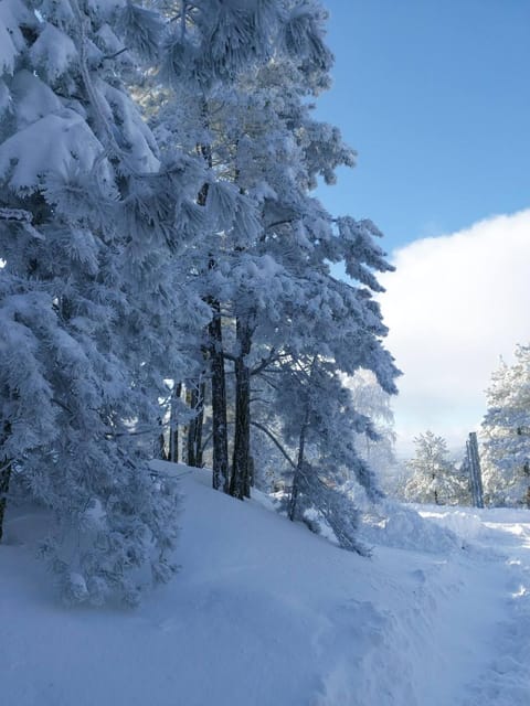 Brvnara Majstorović House in Zlatibor District, Serbia