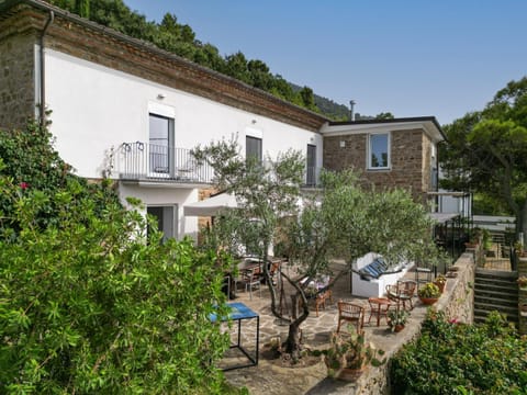 Property building, Natural landscape, Garden view