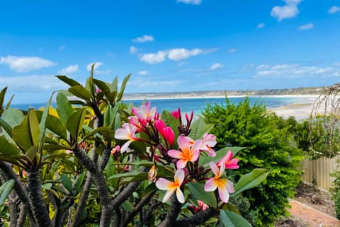 Natural landscape, Beach, Sea view