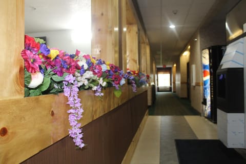 Pier Inn Hotel in Luna Pier