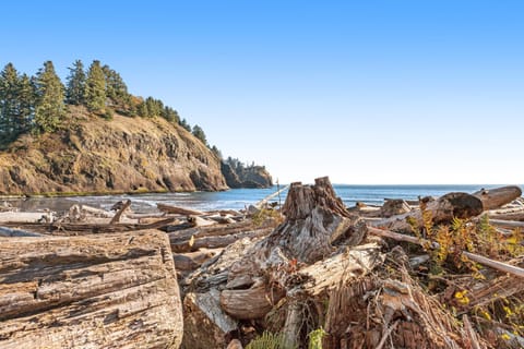 The Sea Glass Cottage House in Ocean Park