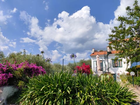 Property building, Natural landscape, Garden, Garden