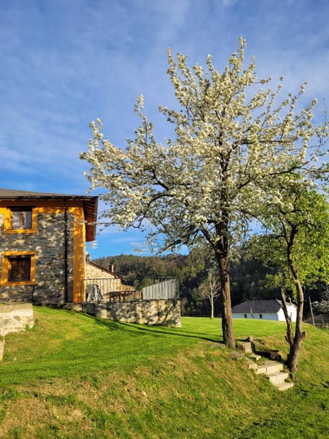 Property building, Spring, Off site, Natural landscape, Garden, Garden view