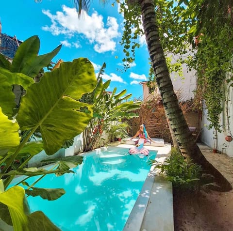 Day, Garden, Swimming pool