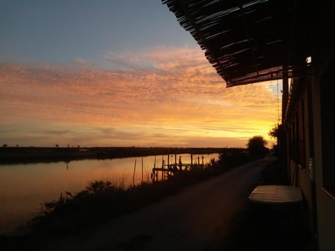 River view