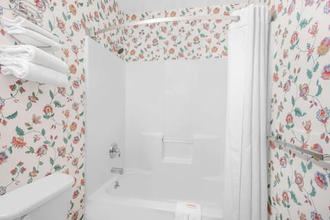 Bathroom, Photo of the whole room, On site