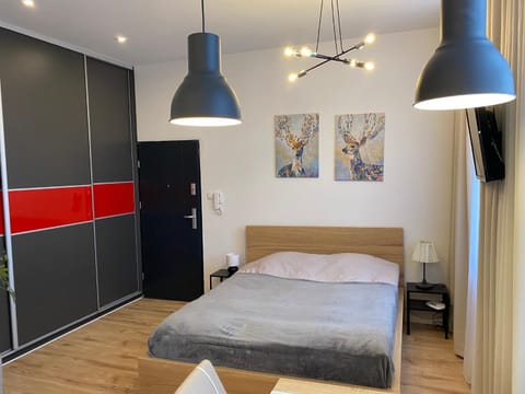 Apartament w centrum Apartment in Pomeranian Voivodeship