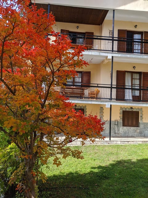 Garden, Autumn