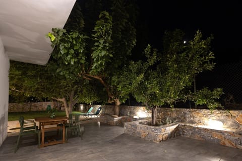 Night, Garden, Garden view